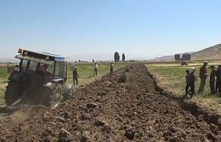 Meyan kökü bölgenin geçim kaynağı oldu