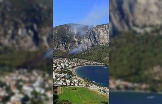 Milas Ören yangını kısmen kontrol altında