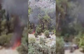 Milas yangınının ilk çıktığı anlar vatandaşın...