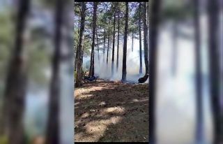 Milli parkta çıkan orman yangını büyümeden söndürüldü