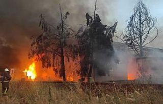 Mısır gevreği fabrikası yangında küle döndü