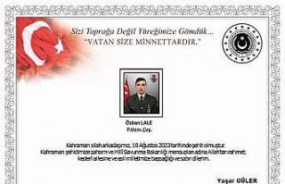 MSB: “Pençe-Kilit operasyonu bölgesinde 1 asker...