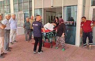 Muhtar, koyunların bahçeye girmesinden dolayı tartıştığı...