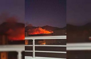 Niğde’de çıkan yangında 500 hektar mera alanı...