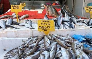Olta mezgitleri tezgahlardaki yerini aldı