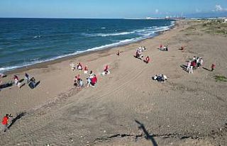 Önce gezdiler, sonra sahili temizlediler