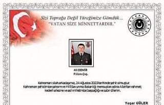 Ordu’ya şehit ateşi düştü