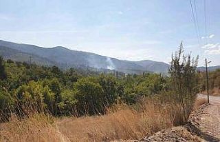 Orhaneli’de ormanlık alanda çıkan yangın söndürüldü