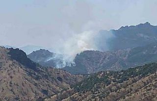 Orman Bölge Müdürü Çetiner: “Sarp ve kayalık...