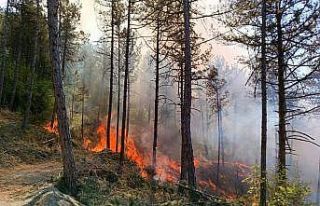 Orman yangını kontrol altına alındı