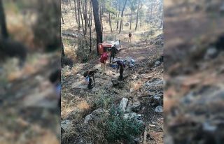 Ormana çöp atanlara ceza yağdı