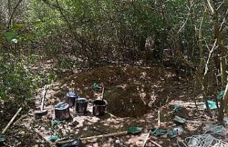 Ormanda kaçak kazı: 3 kişi yakalandı