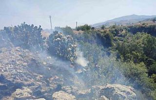 Osmaniye Düziçi’nde orman yangını