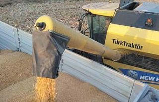 Osmaniye’de mısırda verim çiftçinin yüzünü...