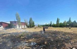 Ot yangını büyümeden kontrol altına alındı