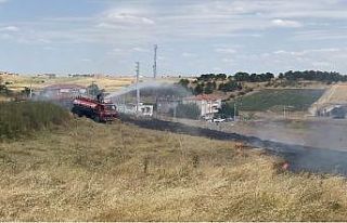 Otluk alanda çıkan yangın, evlere ulaşmadan söndürüldü
