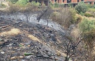 Otluk alanı ateşe verip kaçtı