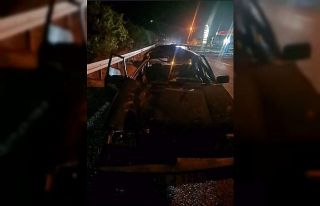 Otomobil yola fırlayan katıra çarptı: 2 yaralı