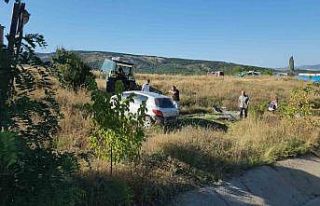 Otomobile çarptı, su kanalını aşıp tarlaya uçtu:...