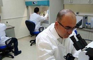 Over kanseri tedavisine umut vaat eden yeni proje...