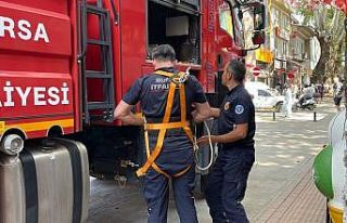 (Özel) 152 yıllık anıt ağaçta mahsur kalan kuş...