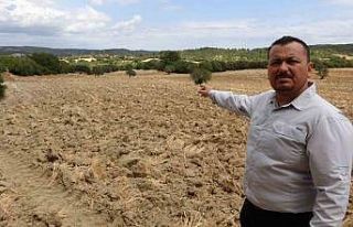 (Özel) Anafartalar Muharebelerinde şehit olan Yarbay...