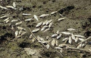 (Özel) Çınarcık Barajı’nı besleyen Kocasu...