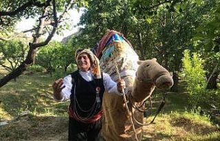 Özel günlerin aranan eğlencesi Geleneksel Deve...
