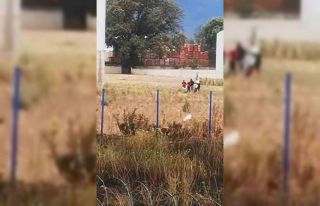 (Özel) Tekme ve yumrukların havada uçuştuğu kavga...