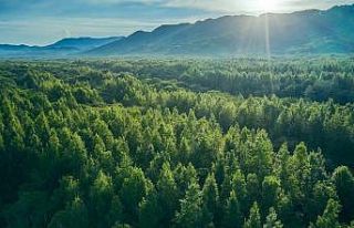 Özhan Market’ten “Daha yeşil bir dünya” için...