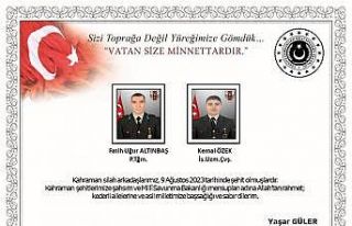 Pençe-Kilit bölgesinde 2 asker şehit oldu