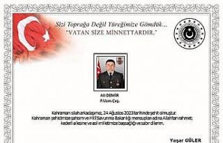 Pençe-Kilit operasyonu bölgesinde bir asker şehit...