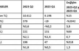 Petkim’in ikinci çeyrek net kârı 221 milyon lira