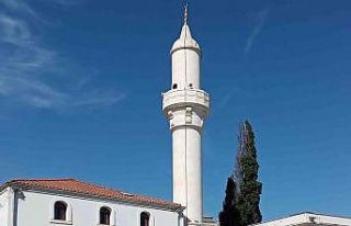 Plastik hayat ‘yalnız’ yapıyor