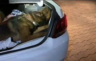 Polisten uyuşturucu operasyonu: 10 günde 88 kişi...