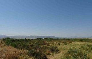 Prof. Dr. İskender Gülle; “ Burdur gölüne su...