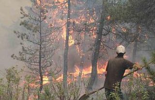 Pulluk makinesinin kıvılcımından çıkan yangına...
