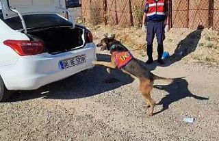 ’Raket’ tepki verdi, 7 kilo 428 gram esrar ele...