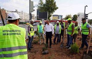Refüj ve kavşaklar yenileniyor