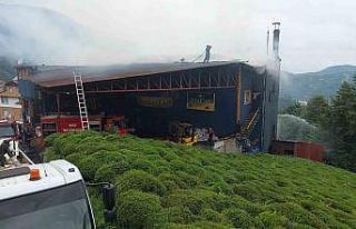 Rize’de çay fabrikasında yangın çıktı