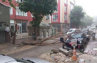 Sağanak yağış yolları göle çevirdi, ağaçları...