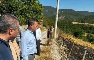 Şahin, Çanakkale yangınında zarar gören bölgeleri...