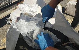 Samanların içine saklanmış 172 kilo 200 gram skunk...