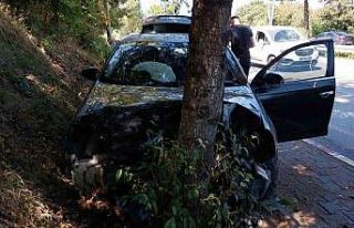 Samsun’da otomobil ağaca çarptı: 1 yaralı