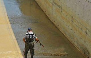 Samsun’da vektörlerle mücadele