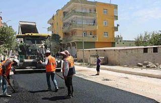 Şanlıurfa Büyükşehir’den Viranşehir’de asfalt...