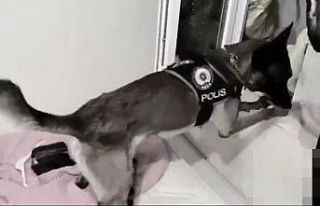Şanlıurfa’da narkotik köpeği uyuşturucuya geçit...