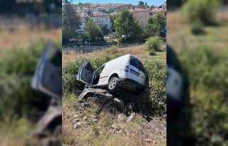 Şarampole uçan kamyonet sürücüsü yaralandı