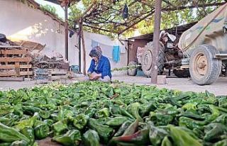 Sarıgöl’de kışlık yiyecek hazırlığına başlandı