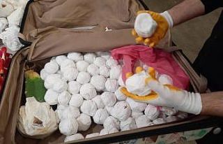 Sarp Sınır Kapısı’nda 2 bin 850 adet kaktüs...